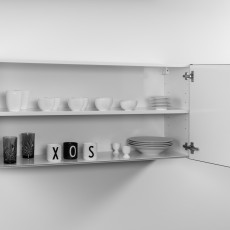 Voorgemonteerde DESIGNLINE Inox edelstaal hangkast 120 cm